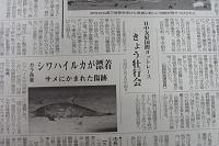  新聞にも記事が